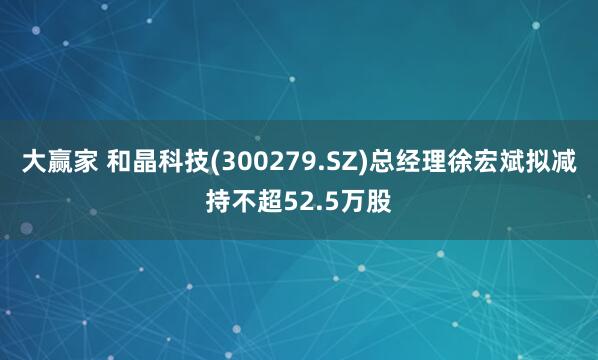 大赢家 和晶科技(300279.SZ)总经理徐宏斌拟减持不超52.5万股