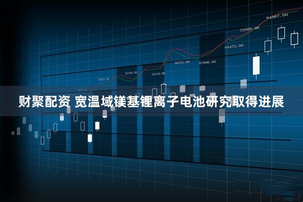 财聚配资 宽温域镁基锂离子电池研究取得进展