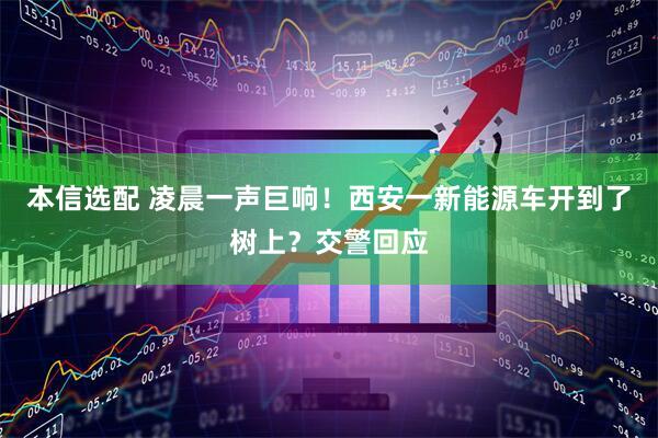 本信选配 凌晨一声巨响！西安一新能源车开到了树上？交警回应