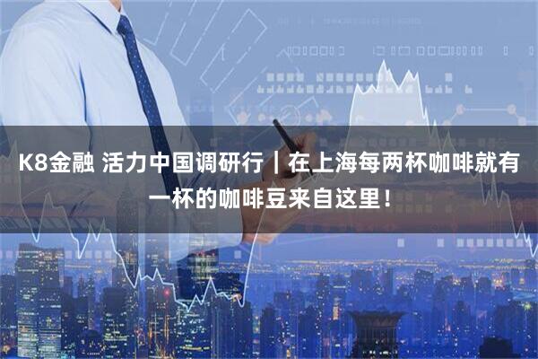 K8金融 活力中国调研行｜在上海每两杯咖啡就有一杯的咖啡豆来自这里！