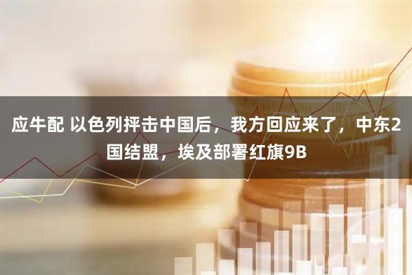 应牛配 以色列抨击中国后，我方回应来了，中东2国结盟，埃及部署红旗9B