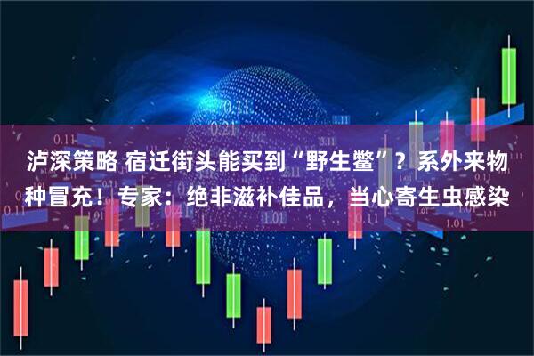 泸深策略 宿迁街头能买到“野生鳖”?系外来物种冒充!专家:绝非滋补佳品,当心寄生虫感染