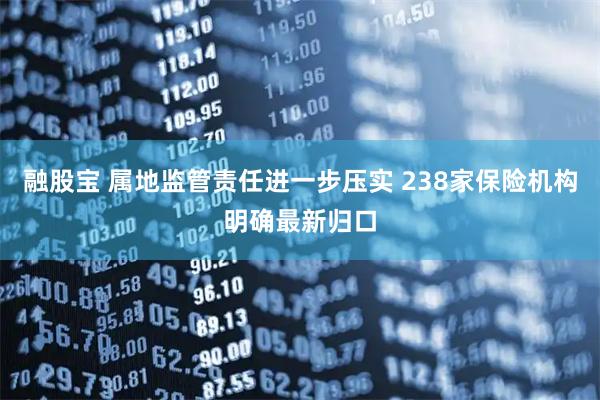 融股宝 属地监管责任进一步压实 238家保险机构明确最新归口