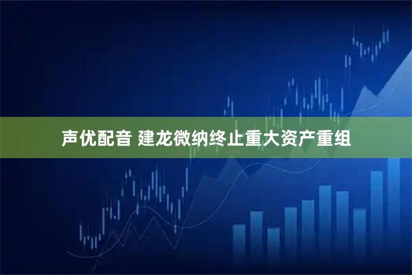 声优配音 建龙微纳终止重大资产重组