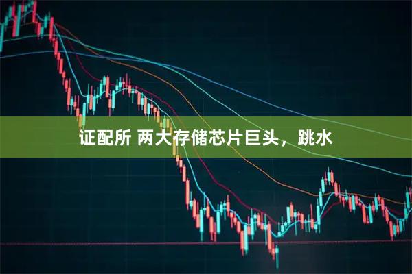 证配所 两大存储芯片巨头，跳水
